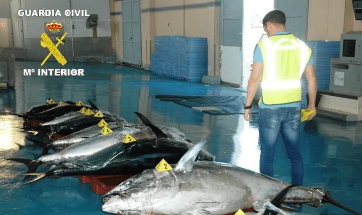 Macrooperación policial contra la pesca y venta ilegal de atún rojo